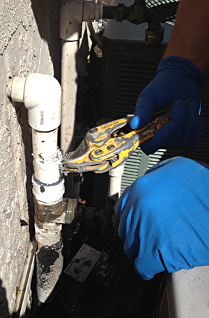 Thornton Plumbing associate removes rotted PVC pipes